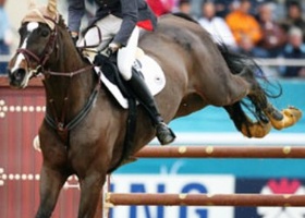 Doha 2006 | Equestrian