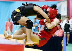 Incheon 2014 | Sanshou