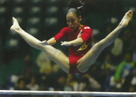 Busan 2002 | Gymnastics