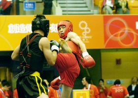 Hong Kong 2009 | Sanshou