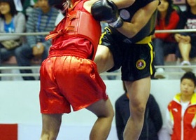 Vietnam 2009 | Wushu