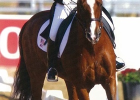 Busan 2002 | Equestrian