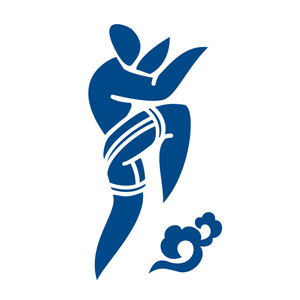 Sport pictogram Danang 2016