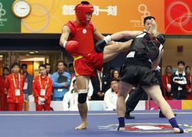 Hong Kong 2009 | Sanshou