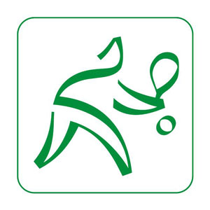 Sport pictogram Nanjing 2013