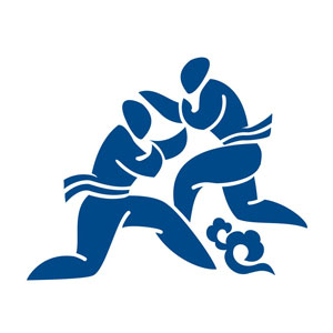 Sport pictogram Danang 2016