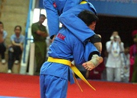 Vietnam 2009 | Vovinam